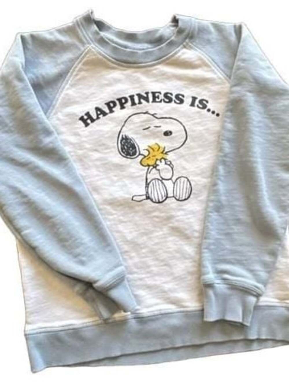 Peanuts Snoopy and Woodstock Happiness Is... Raglan Sweatshirt Light Blue White